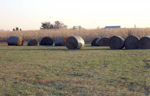 Roll of hay in front of old corn maze